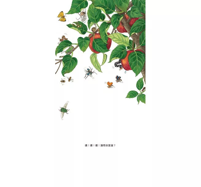 我的水果寶寶(二版)兒童繪本內容