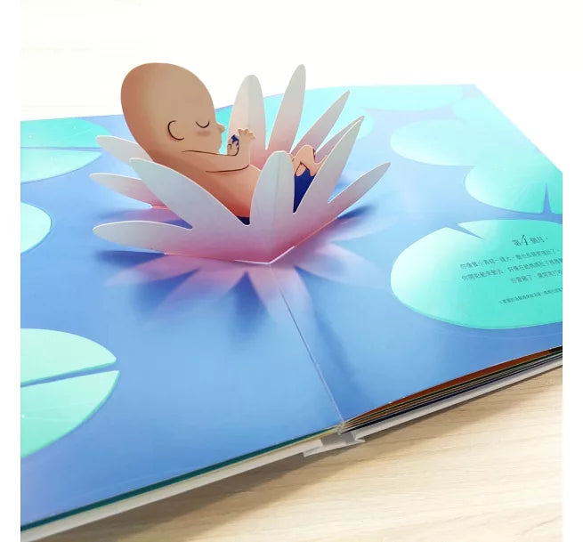 你在媽媽肚子裡的樣子 [精美書盒典藏版]兒童繪本內容