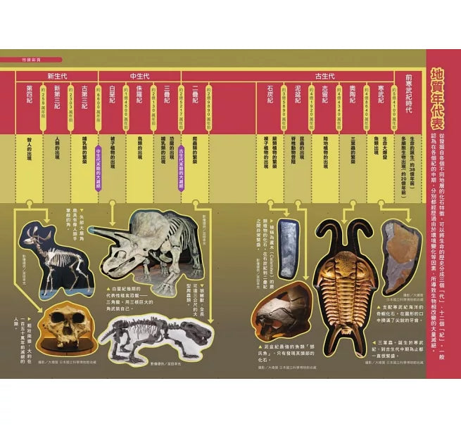 哆啦A夢科學任意門15：神祕化石時光布兒童繪本內容