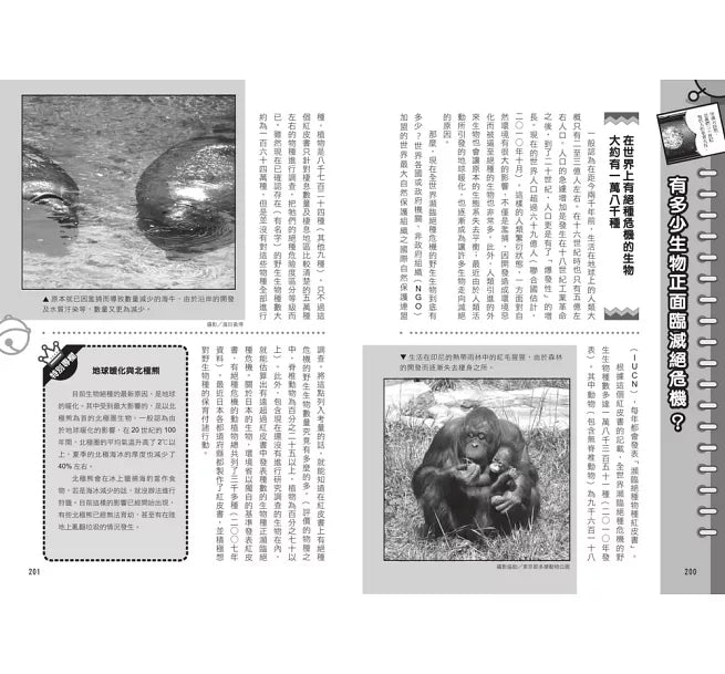 哆啦A夢科學任意門1：恐龍時代通行證兒童繪本內容