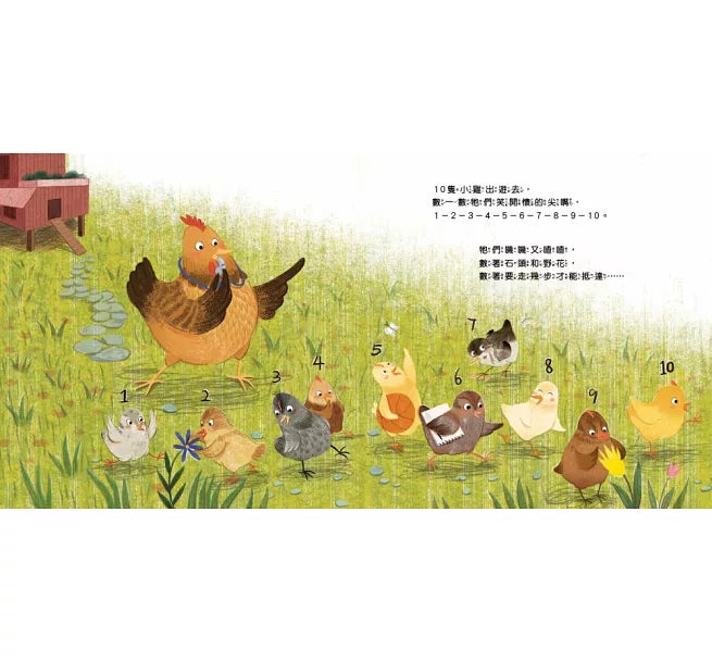 【品格教育繪本：數概念/遊戲化探索】10隻小雞在公園兒童繪本內容