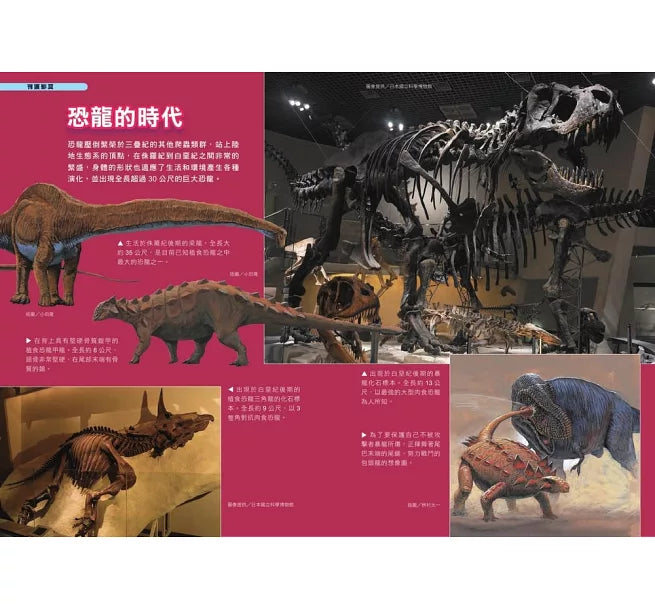 哆啦A夢科學任意門1：恐龍時代通行證兒童繪本內容