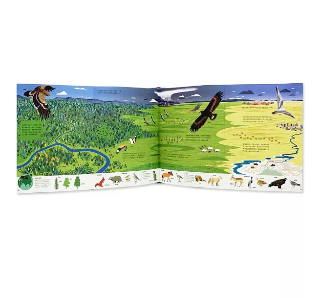 鳥瞰大自然兒童繪本內容