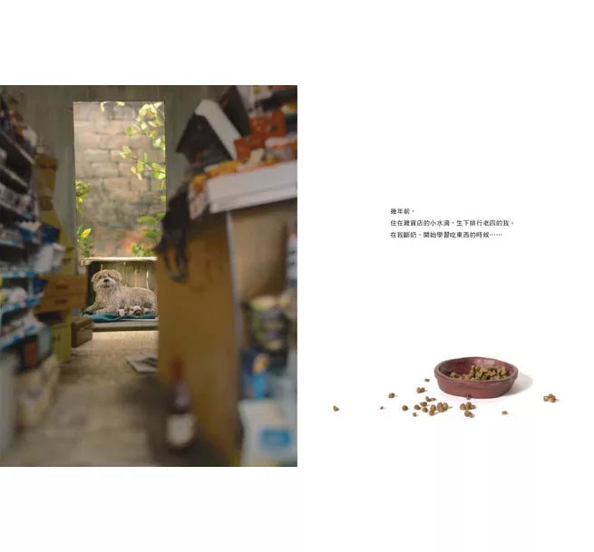 我是狗兒童繪本內容