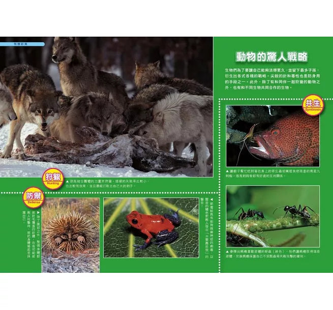 哆啦A夢科學任意門3：動植物放大鏡兒童繪本內容