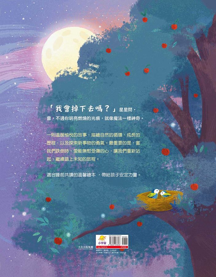 星星掉下來, 爸爸你會接住嗎?